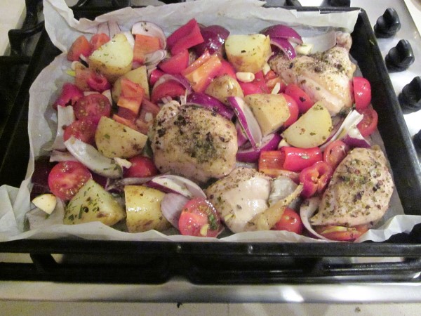 IMG_0562 (600 x 450)