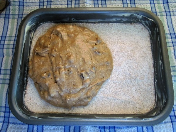 IMG_0567 (600 x 450).jpg