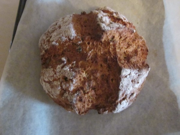 IMG_0642 (600 x 450).jpg