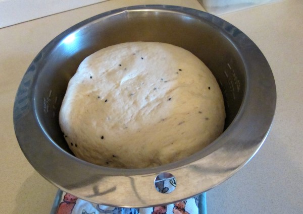 IMG_0682 (600 x 425).jpg