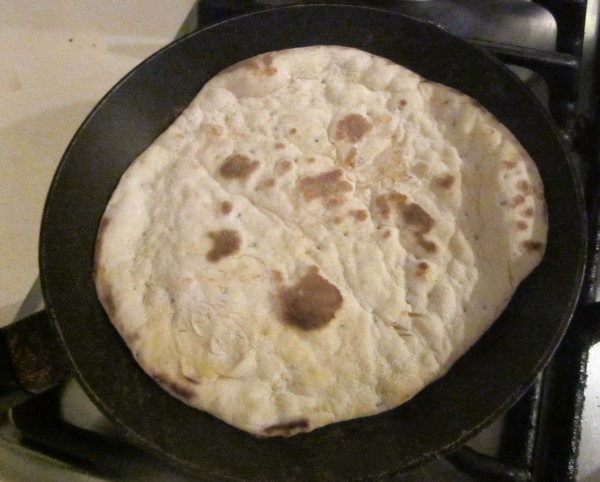 IMG_0687 (600 x 482).jpg