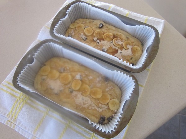 IMG_0699 (600 x 450)