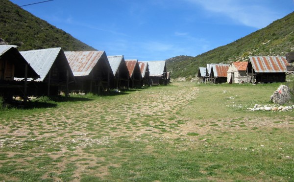 IMG_0719 (600 x 372).jpg