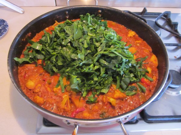 IMG_0776 (600 x 450).jpg