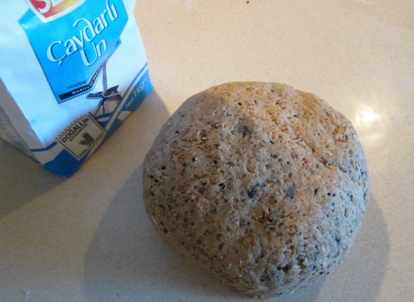 IMG_0942 (600 x 438).jpg