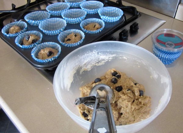 IMG_0962 (600 x 438).jpg