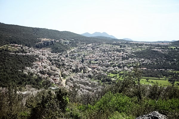 IMG_0124 (600 x 400)