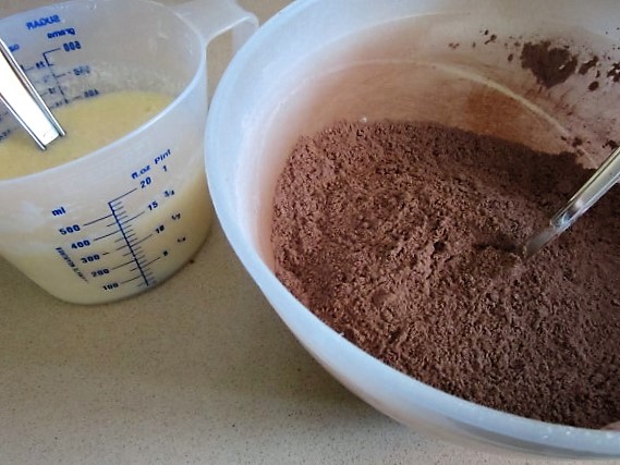 IMG_1025 (600 x 450).jpg