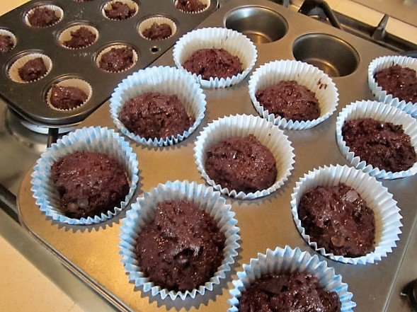 IMG_1027 (600 x 450).jpg