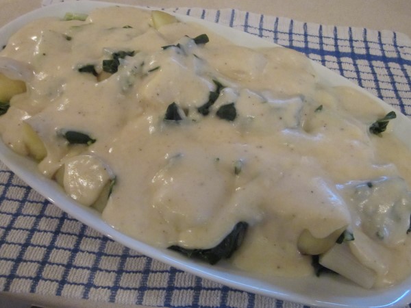 IMG_1160 (600 x 450).jpg