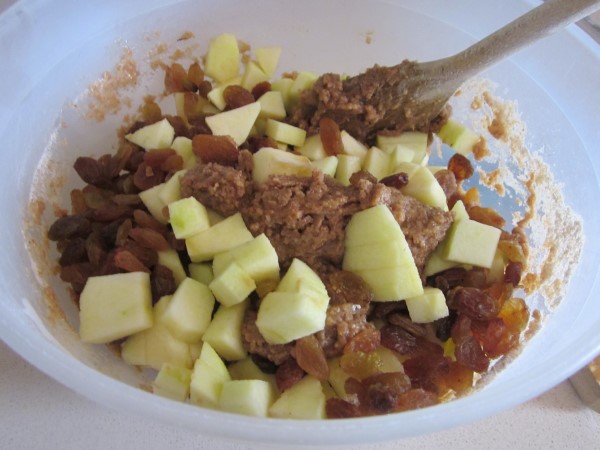 IMG_1330 (600 x 450).jpg