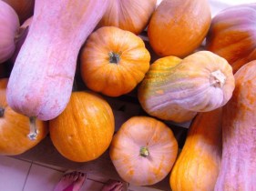 IMG_1407 (600 x 450).jpg