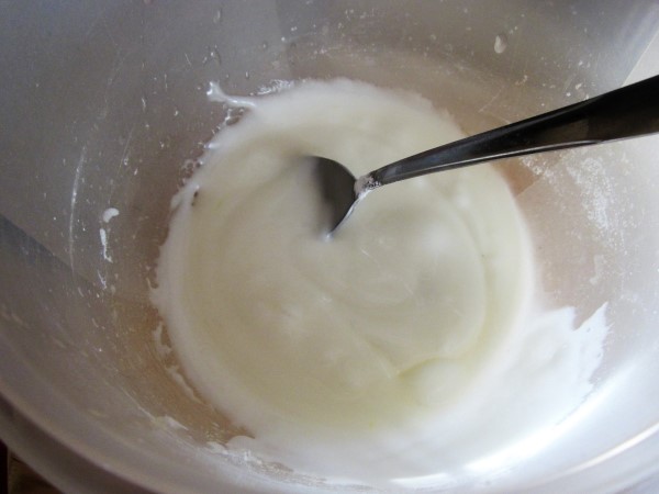 IMG_1642 (600 x 450).jpg