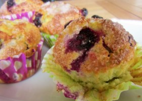 IMG_1737 (600 x 425).jpg