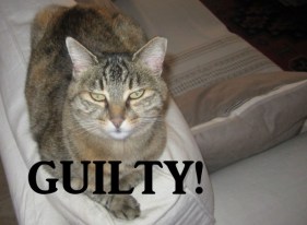 GUILTY2 (600 x 440).jpg