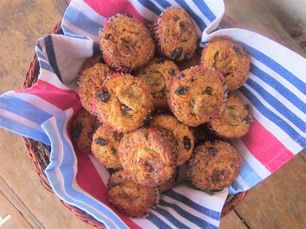 IMG_3706 (600 x 450)